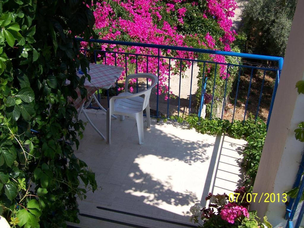 נידרי Gianna Studios מראה חיצוני תמונה